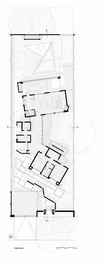 House around the Tree